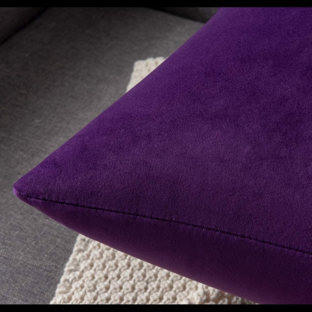 NWT Decorative velvet Pillow Covers - Picture 3 of 4